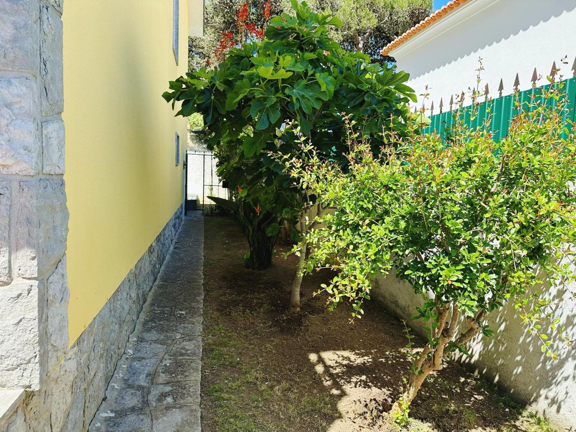 Willa Bay Golf House Віавіа Zewnętrze zdjęcie
